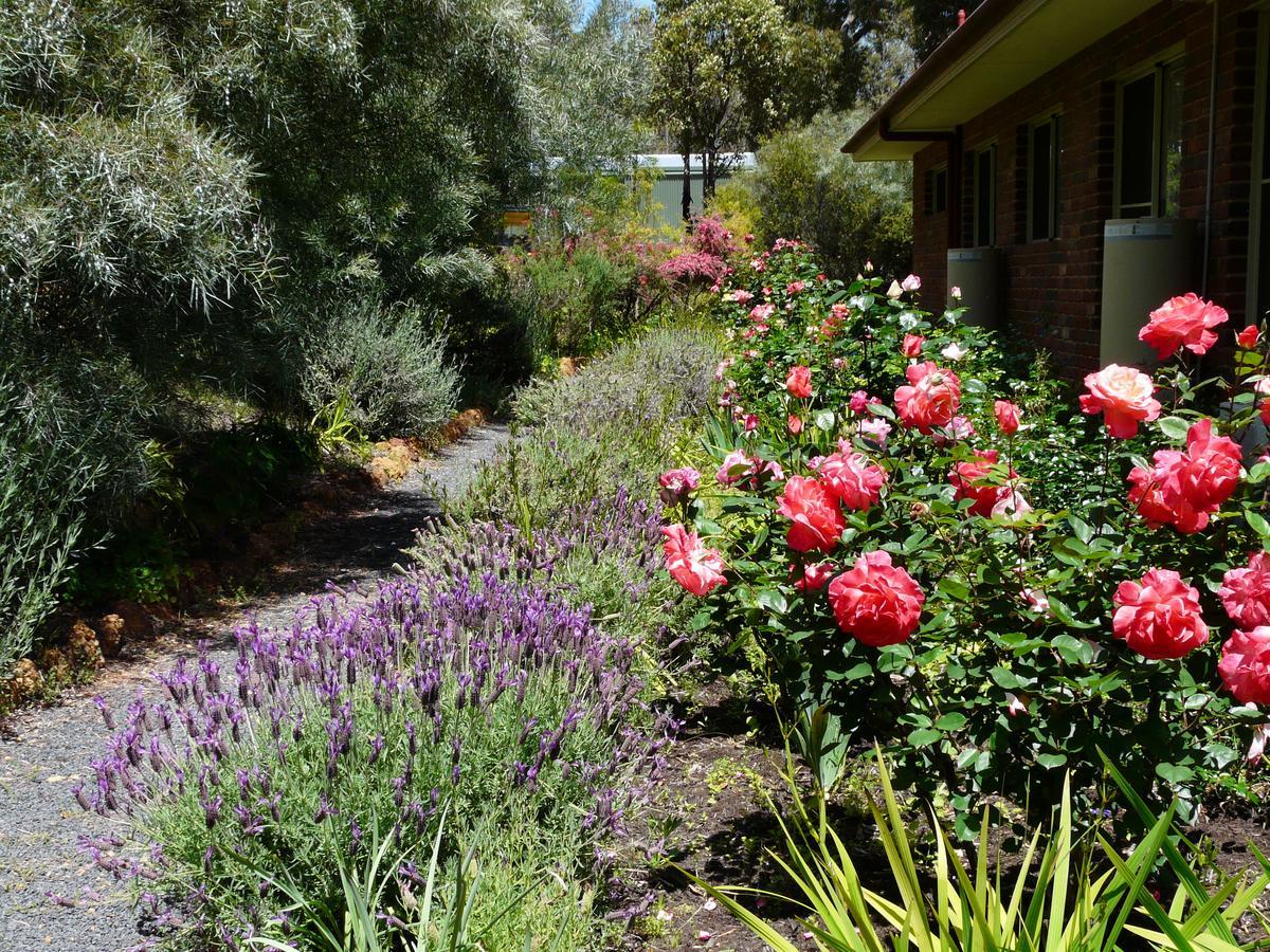 Country Charm Retreat B&B Donnybrook Exterior foto